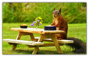 
                  
                    Load image into Gallery viewer, A Squirrel Having a Nice Picnic Lunch Puzzle - 66PCS - #6510
                  
                