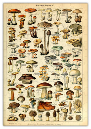 
                  
                    Load image into Gallery viewer, Mushroom Species Chart Puzzle - 160PCS - #6697
                  
                