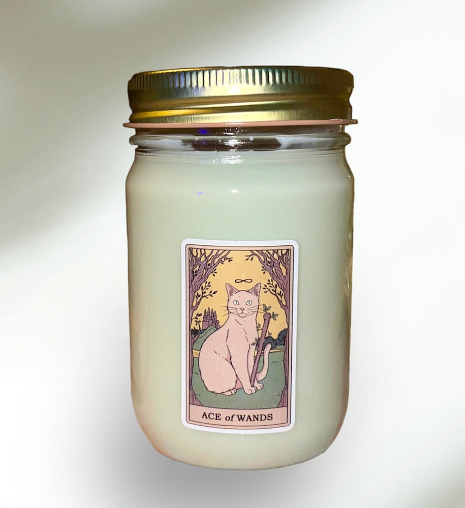 
                  
                    Load image into Gallery viewer, Dry Gin &amp;amp; Cypress Scent 12 oz Tarot Card Soy Candle
                  
                