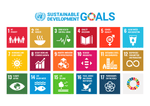 We support the UN Sustainable Development Goals