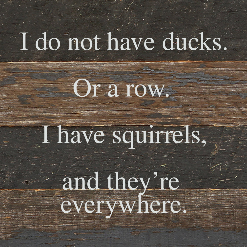 
                  
                    Load image into Gallery viewer, I do not have ducks. Or a row. I have squirrels, and they&amp;#39;re everywhere. / 6&amp;quot;x6&amp;quot; Reclaimed Wood Sign
                  
                