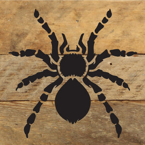 
                  
                    Load image into Gallery viewer, Spider Halloween / 6x6 Reclaimed Wood Sign
                  
                