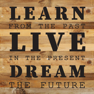 
                  
                    Load image into Gallery viewer, Learn from the past. Live in the present. Dream the future / 14x14 Reclaimed Wood Wall Decor
                  
                