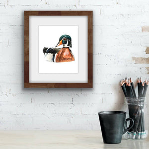 
                  
                    Load image into Gallery viewer, Wood duck
                  
                
