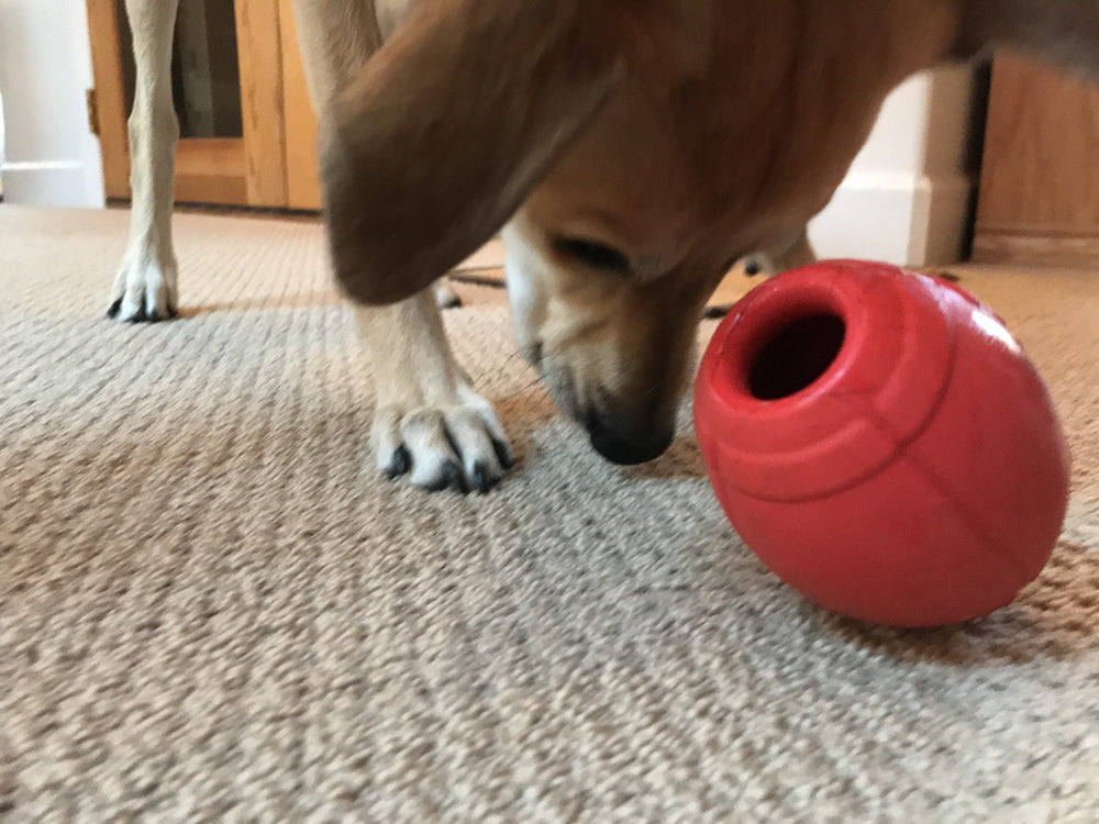 
                  
                    Load image into Gallery viewer, Football Durable Rubber Chew Toy and Treat Dispenser
                  
                
