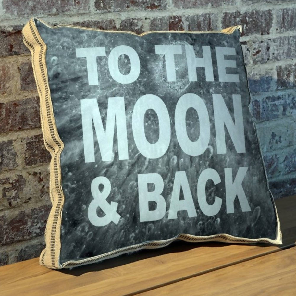 To The Moon And Back Pillow