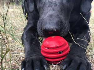 
                  
                    Load image into Gallery viewer, USA-K9 Stars and Stripes Ultra-Durable Rubber Chew Ball
                  
                