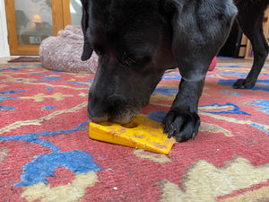 
                  
                    Load image into Gallery viewer, Swiss Cheese Wedge Durable Nylon Dog Chew Toy
                  
                