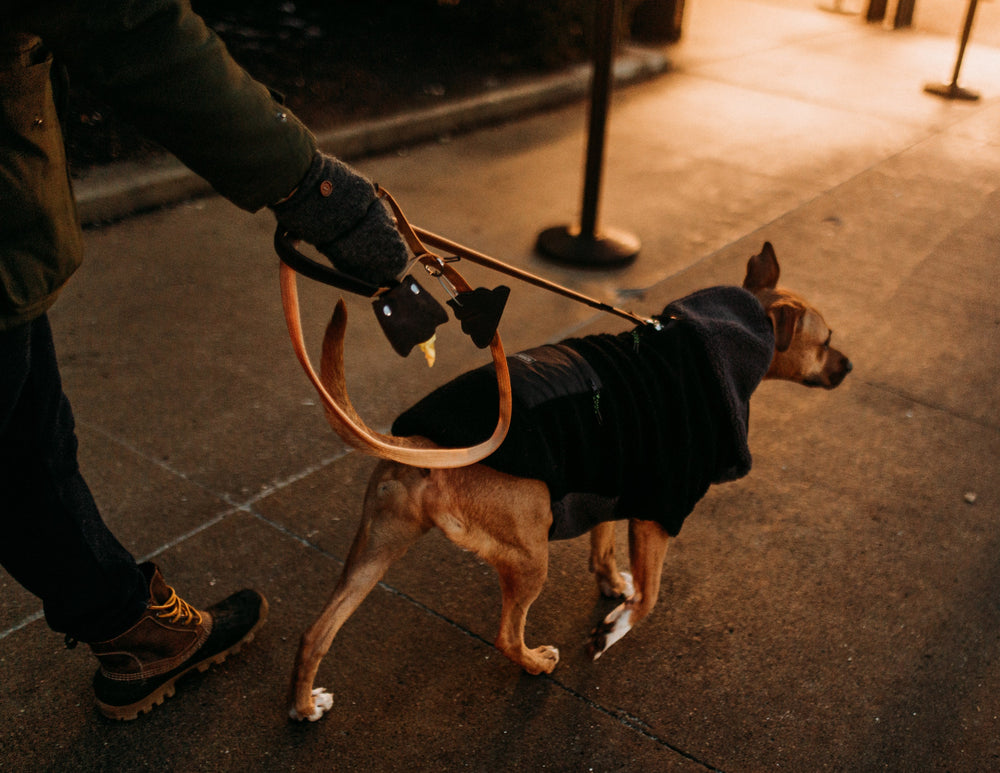 
                  
                    Load image into Gallery viewer, The Junkyard Dog Hands-free Waste Bag Holder
                  
                