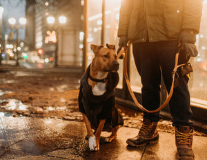 
                  
                    Load image into Gallery viewer, Junkyard Dog Leash - Classic Carabiner (non-locking)- Double handles
                  
                