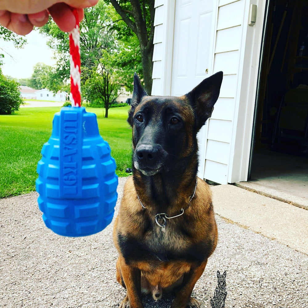 
                  
                    Load image into Gallery viewer, USA-K9 Grenade Durable Rubber Chew Toy, Treat Dispenser, Reward Toy, Tug Toy, and Retrieving Toy
                  
                