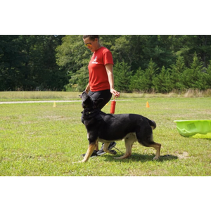 
                  
                    Load image into Gallery viewer, USA-K9 Firecracker Durable Rubber Floating Training Dummy - Large - Red
                  
                