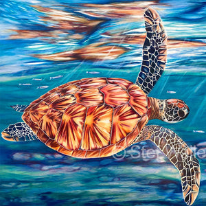 
                  
                    Load image into Gallery viewer, Sea Turtle
                  
                