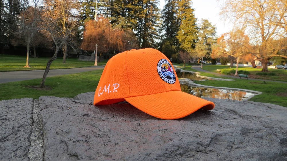 
                  
                    Load image into Gallery viewer, Orange Baseball Cap
                  
                