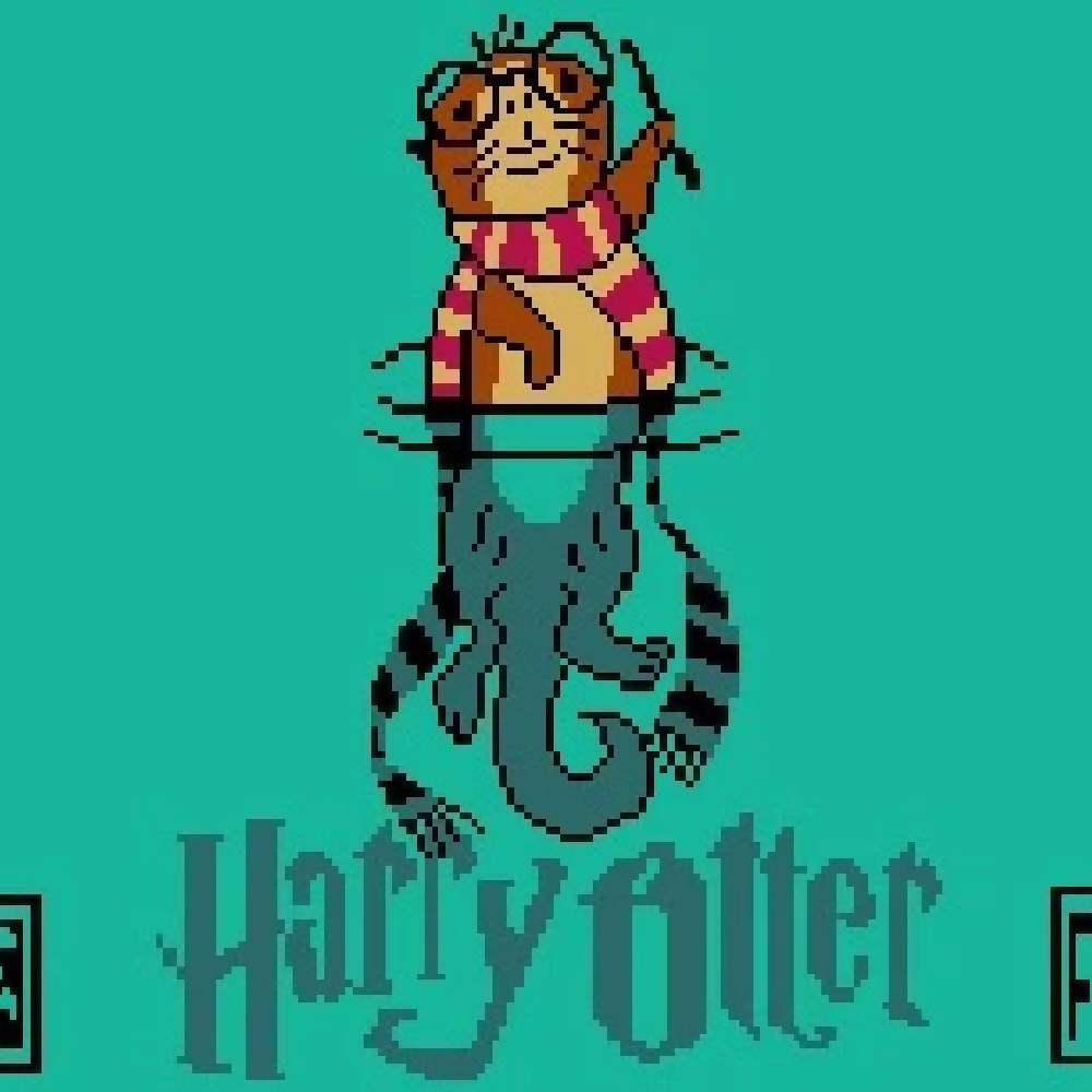 
                  
                    Load image into Gallery viewer, Harry Otter
                  
                