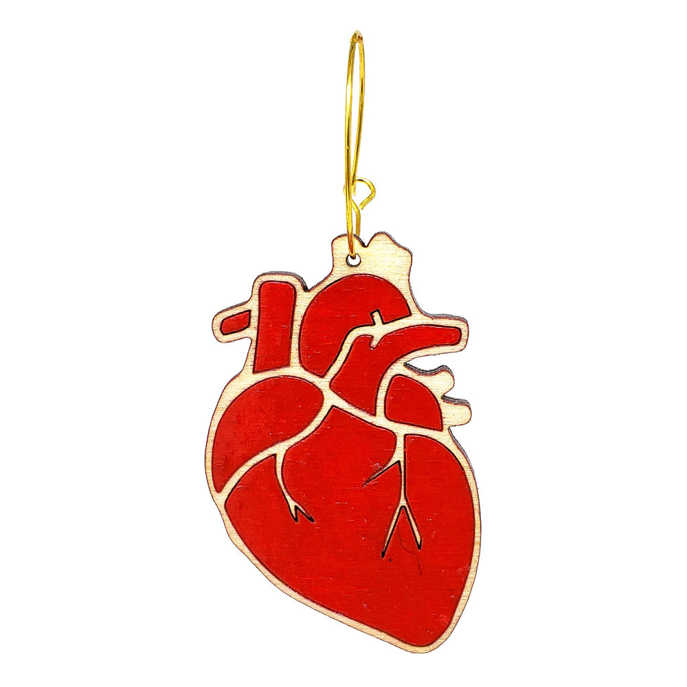 
                  
                    Load image into Gallery viewer, Anatomical Heart Hoops
                  
                