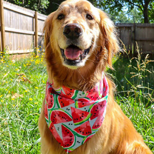 
                  
                    Load image into Gallery viewer, Tiny Watermelons Dog Bandana
                  
                