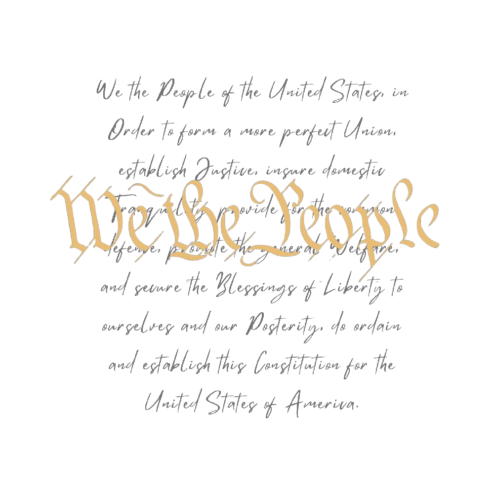 
                  
                    Load image into Gallery viewer, We the people
                  
                