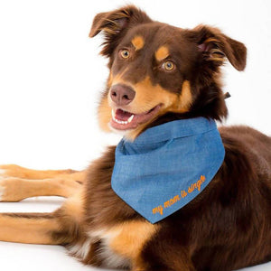 
                  
                    Load image into Gallery viewer, &amp;quot;My Mom is Single&amp;quot; Blue Pet Bandana
                  
                