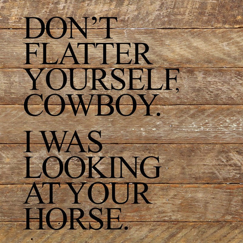 Don't flatter yourself, cowboy. I was looking at your horse. / 10