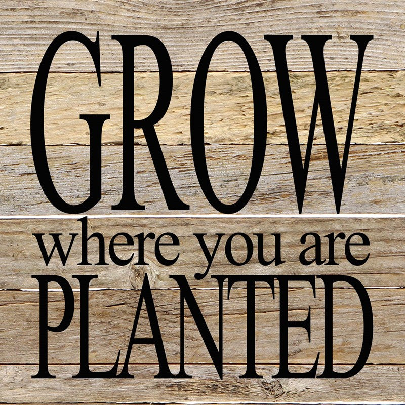 Grow where you are planted / 10