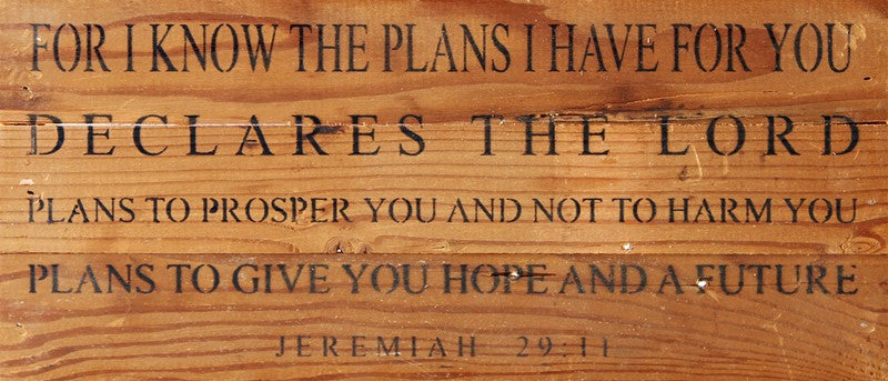 
                  
                    Load image into Gallery viewer, For I know the plans I have for you declares the Lord. Plans to prosper you and not to harm you plans to give you hope and a future. Jeremiah 29:11 / 14&amp;quot;x6&amp;quot; Reclaimed Wood Sign
                  
                