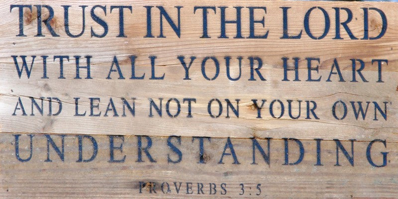 Trust in the Lord with all your heart and lean not on your own understanding ~Proverbs 3:5 / 14