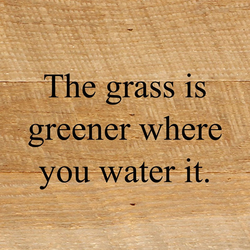 The grass is greener where you water it. / 6