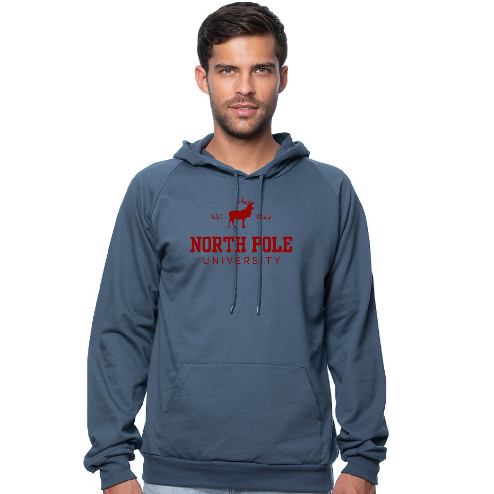 
                  
                    Load image into Gallery viewer, North Pole Hoodie STEEL
                  
                