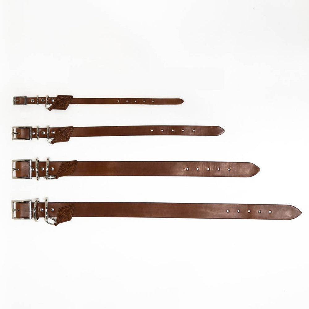 
                  
                    Load image into Gallery viewer, Leather Dog Collar - Buck Brown
                  
                