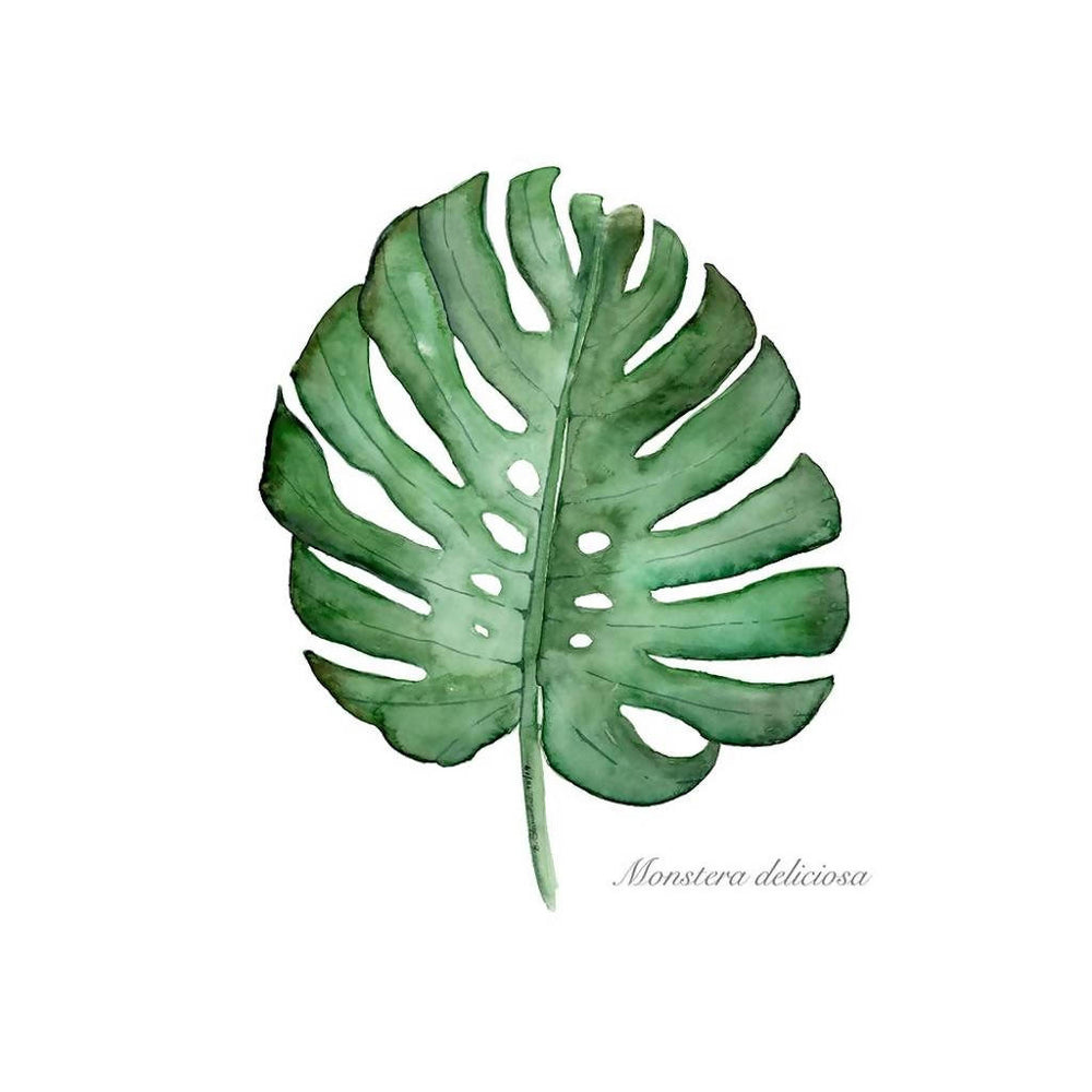 
                  
                    Load image into Gallery viewer, Monstera Leaf Watercolor Wall Art
                  
                