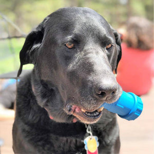 
                  
                    Load image into Gallery viewer, ID Bone Durable Rubber Chew Toy and Treat Dispenser
                  
                