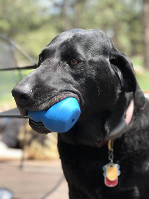 
                  
                    Load image into Gallery viewer, Double Trouble eDispenser Durable Rubber Chew Toy and Treat Dispenser
                  
                