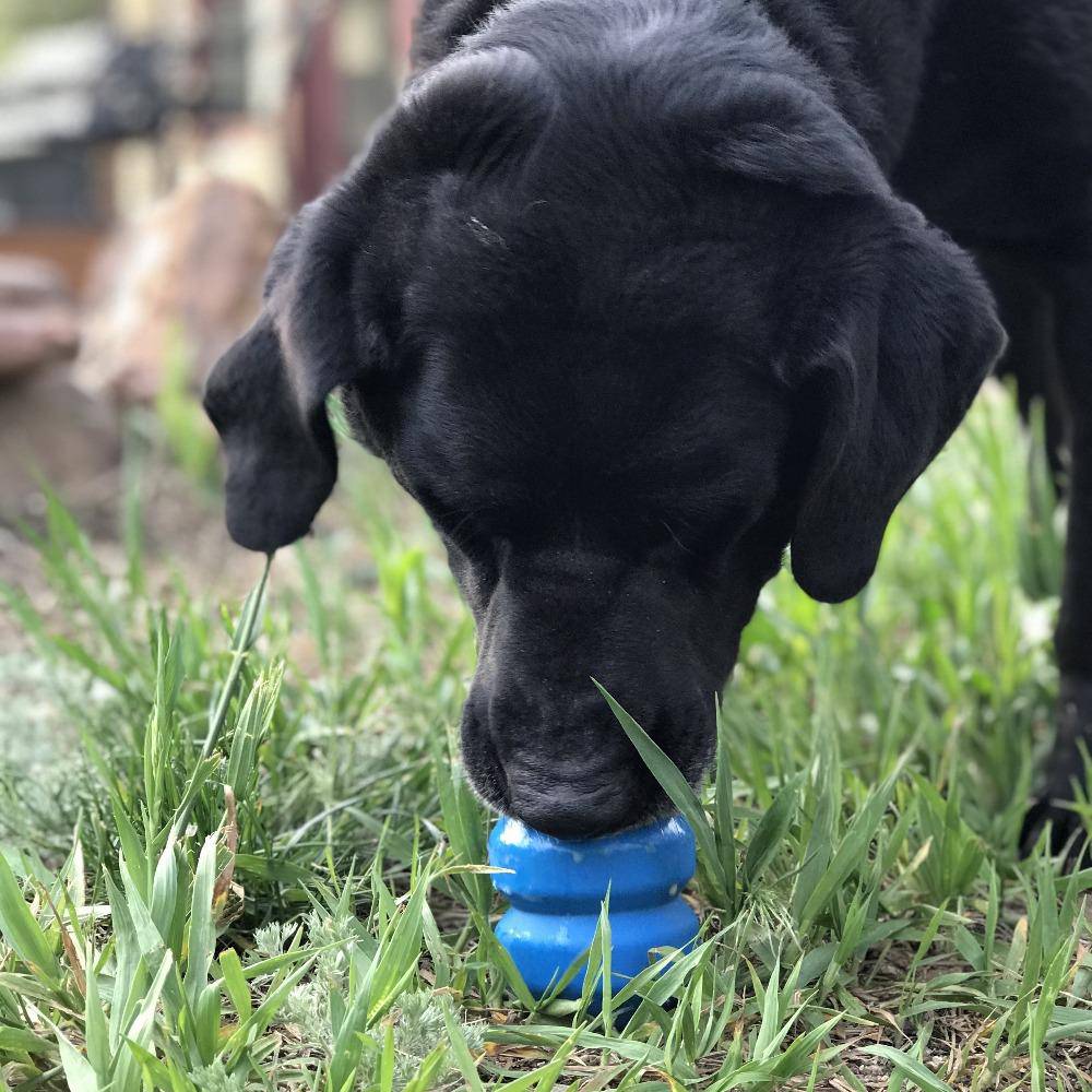 
                  
                    Load image into Gallery viewer, Double Trouble eDispenser Durable Rubber Chew Toy and Treat Dispenser
                  
                