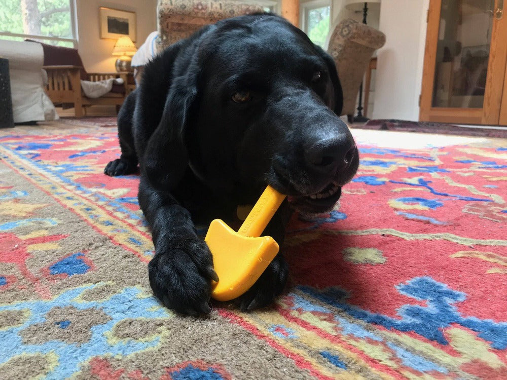 
                  
                    Load image into Gallery viewer, ID Shovel Ultra Durable Nylon Dog Chew Toy
                  
                