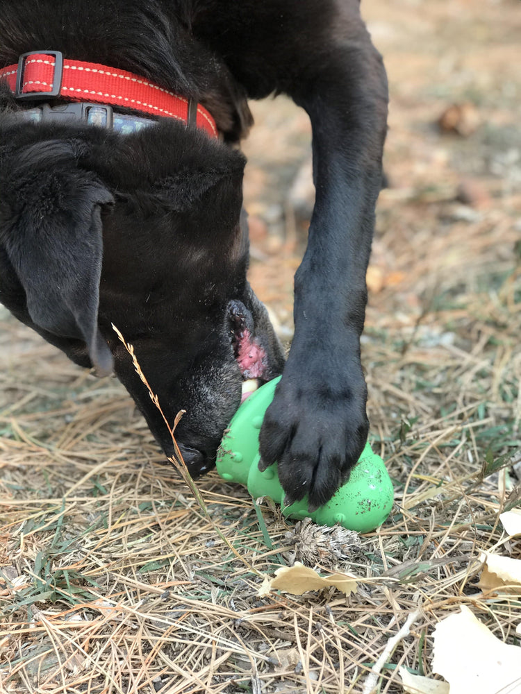 
                  
                    Load image into Gallery viewer, Christmas Tree eDispenser Durable Rubber Chew Toy &amp;amp; Treat Dispenser
                  
                