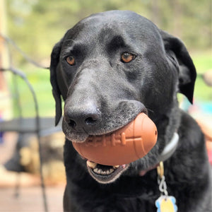 
                  
                    Load image into Gallery viewer, Football eDispenser Durable Rubber Chew Toy and Treat Dispenser
                  
                