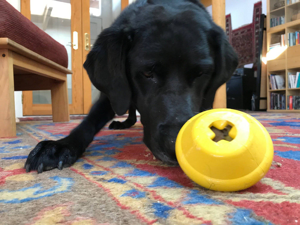 
                  
                    Load image into Gallery viewer, Flying Saucer Durable Rubber Chew Toy &amp;amp; Treat Dispenser
                  
                