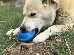 
                  
                    Load image into Gallery viewer, Flying Saucer Durable Rubber Chew Toy &amp;amp; Treat Dispenser
                  
                