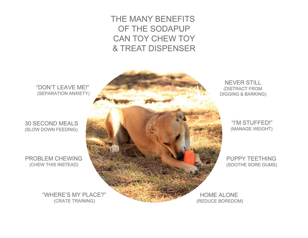 
                  
                    Load image into Gallery viewer, Can Toy Durable Rubber Chew Toy &amp;amp; Treat Dispenser - Average Chewer
                  
                