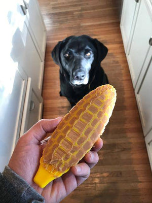 
                  
                    Load image into Gallery viewer, Corn on the Cob Ultra Durable Nylon Dog Chew Toy
                  
                