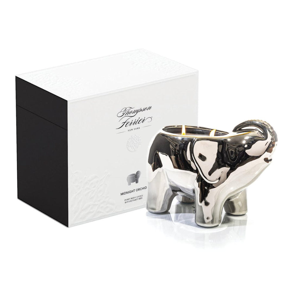 
                  
                    Load image into Gallery viewer, Silver Elephant Candle
                  
                